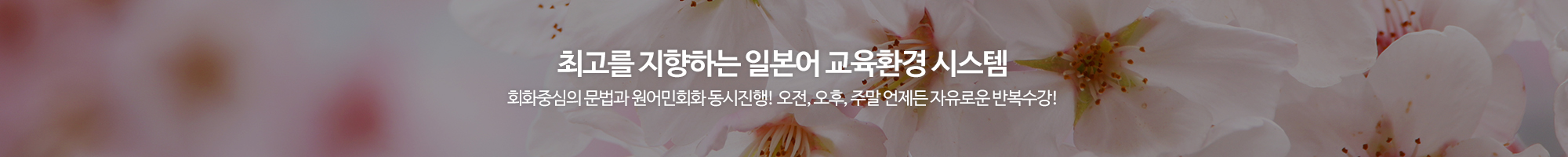 아사히일본어전문학원_이미지pc
